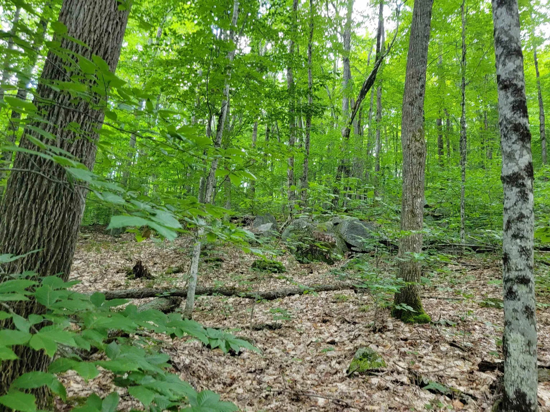 0 Galusha Hill Road Topsham VT 05076