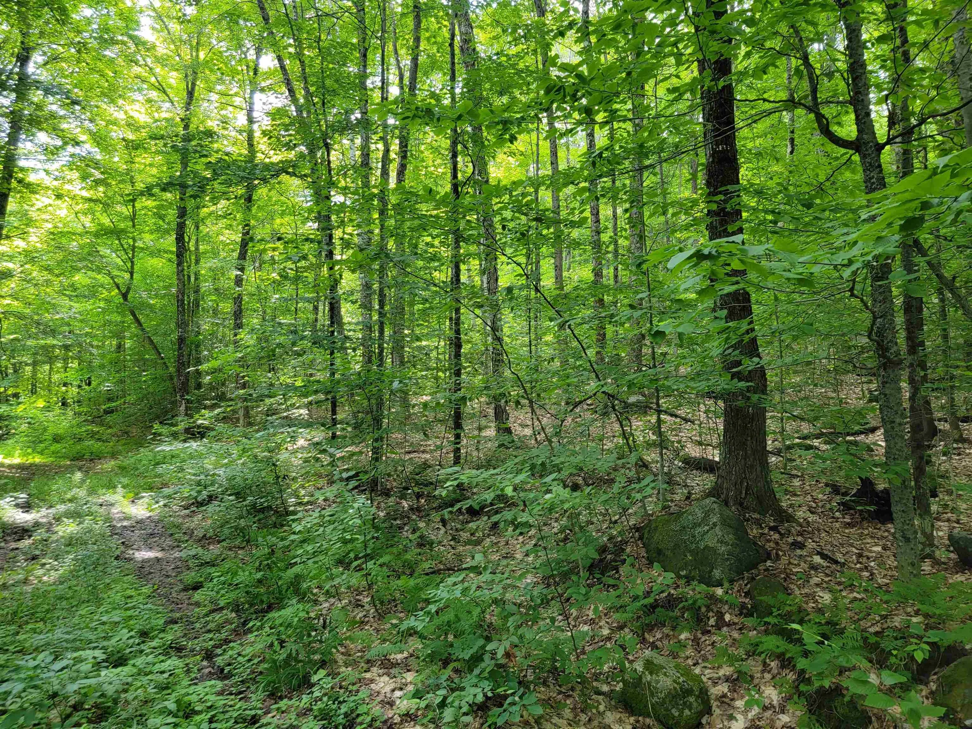 0 Galusha Hill Road Topsham VT 05076