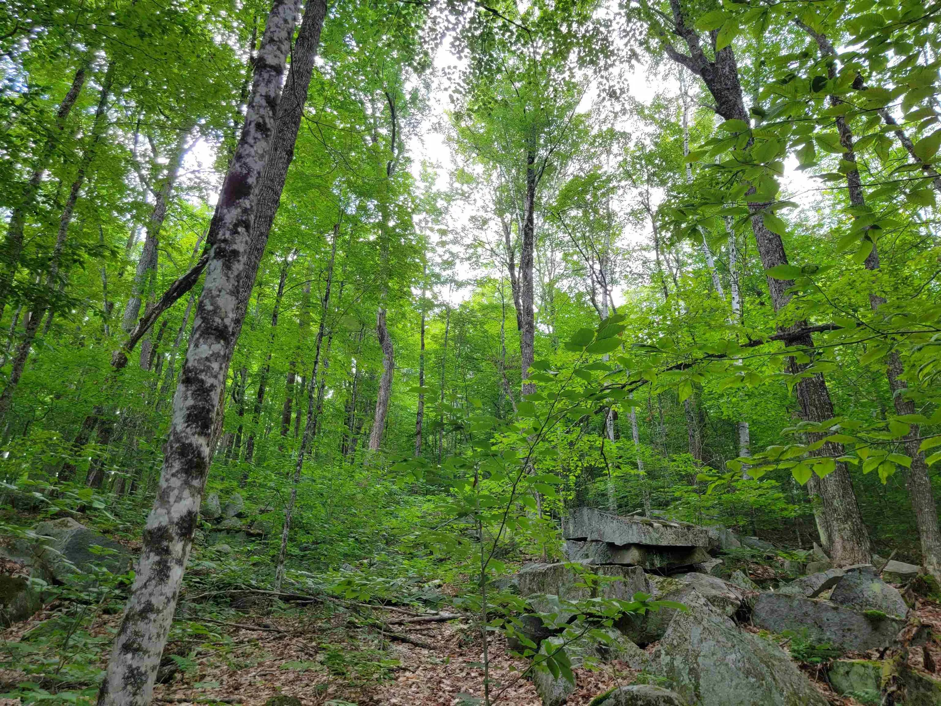 0 Galusha Hill Road Topsham VT 05076