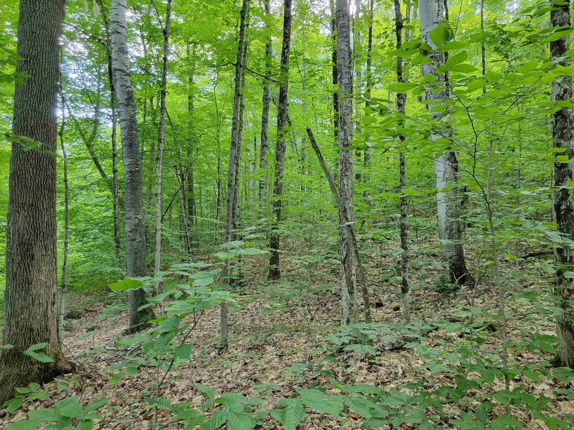 0 Galusha Hill Road Topsham VT 05076