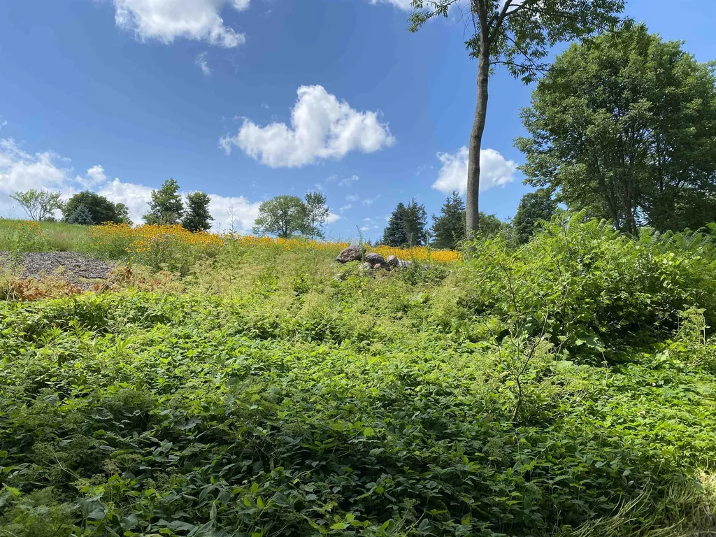 655 James Road Weybridge VT 05753