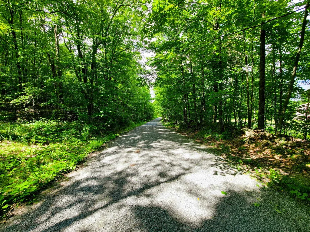 300 Goodrich Hill Road Georgia VT 05478