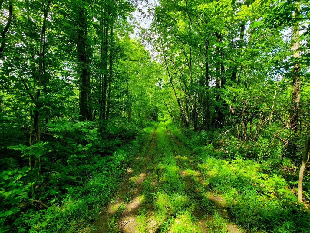 300 Goodrich Hill Road Georgia VT 05478