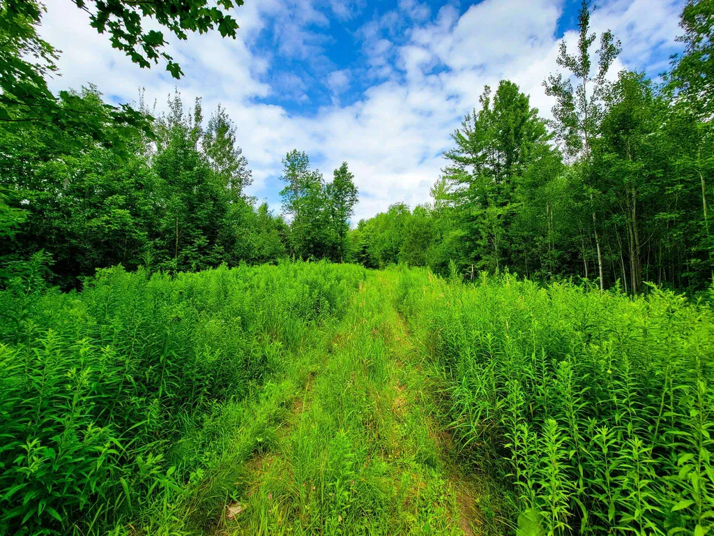 300 Goodrich Hill Road Georgia VT 05478