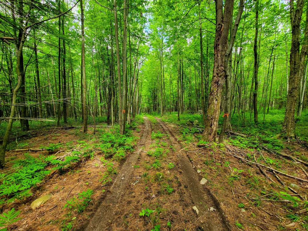 300 Goodrich Hill Road Georgia VT 05478