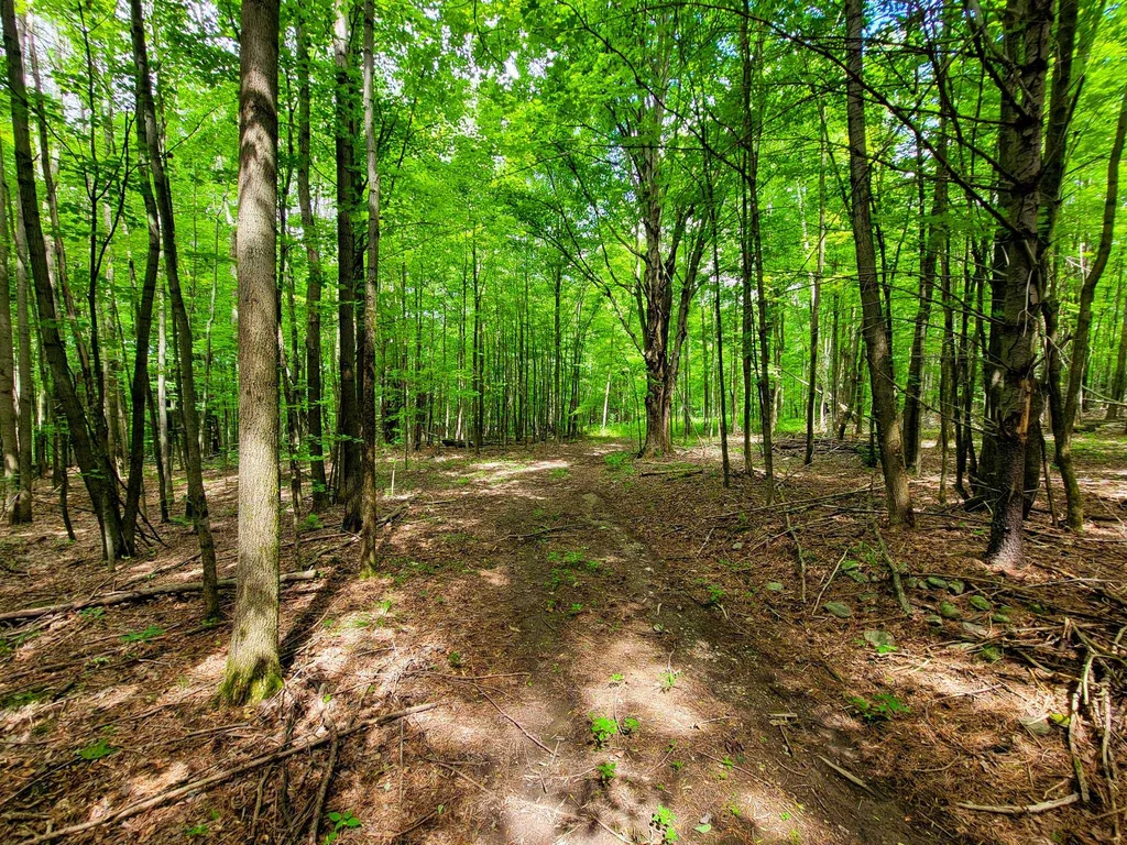 300 Goodrich Hill Road Georgia VT 05478