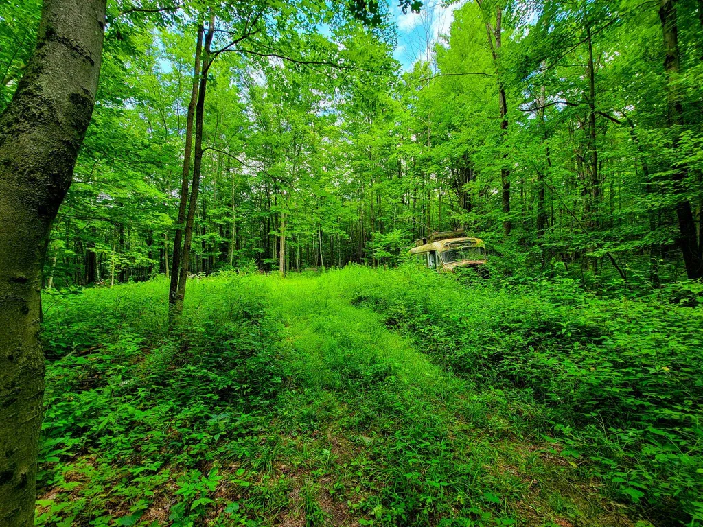 300 Goodrich Hill Road Georgia VT 05478