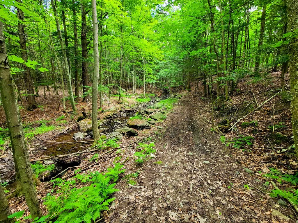 300 Goodrich Hill Road Georgia VT 05478
