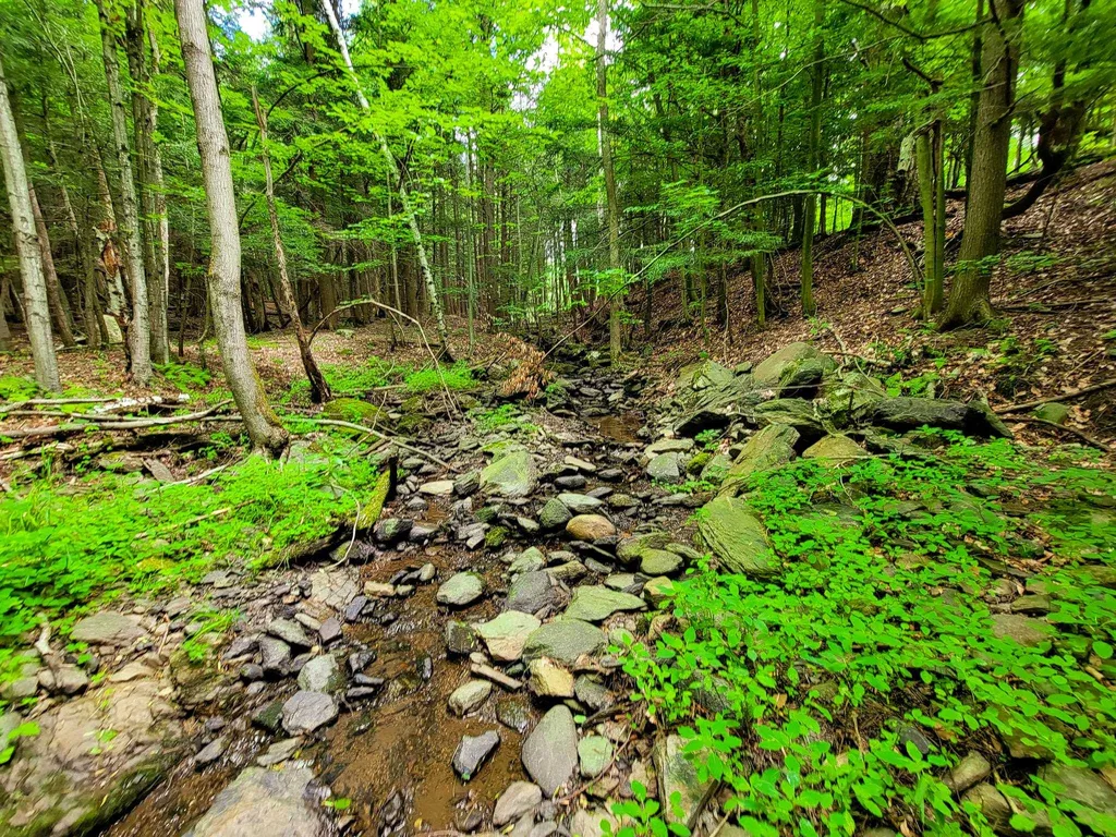 300 Goodrich Hill Road Georgia VT 05478
