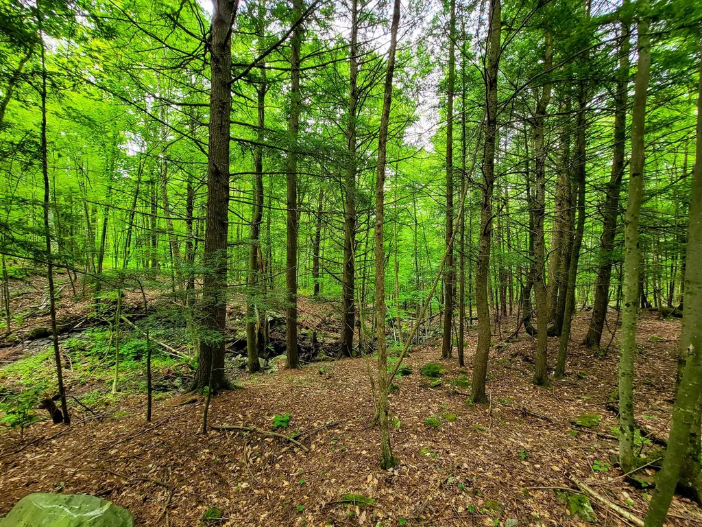 300 Goodrich Hill Road Georgia VT 05478