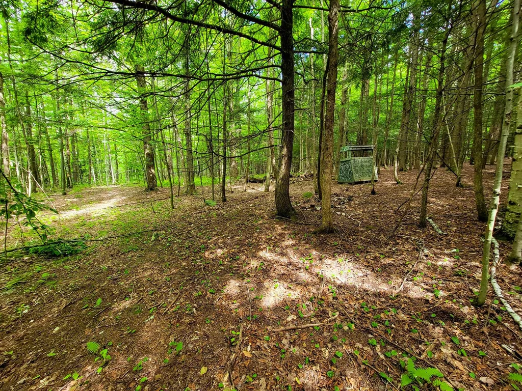 300 Goodrich Hill Road Georgia VT 05478