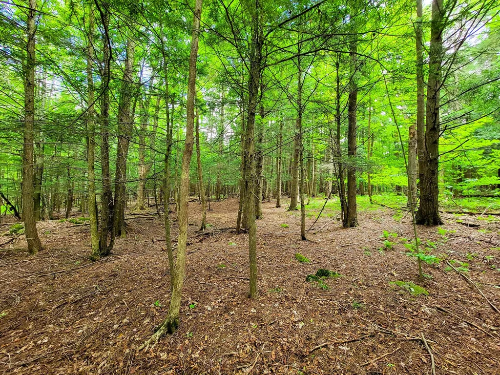 300 Goodrich Hill Road Georgia VT 05478