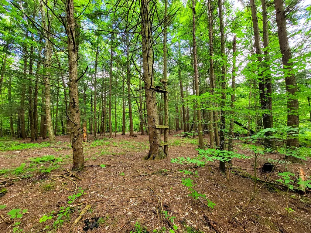 300 Goodrich Hill Road Georgia VT 05478