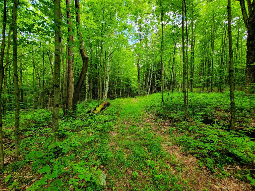 300 Goodrich Hill Road Georgia VT 05478