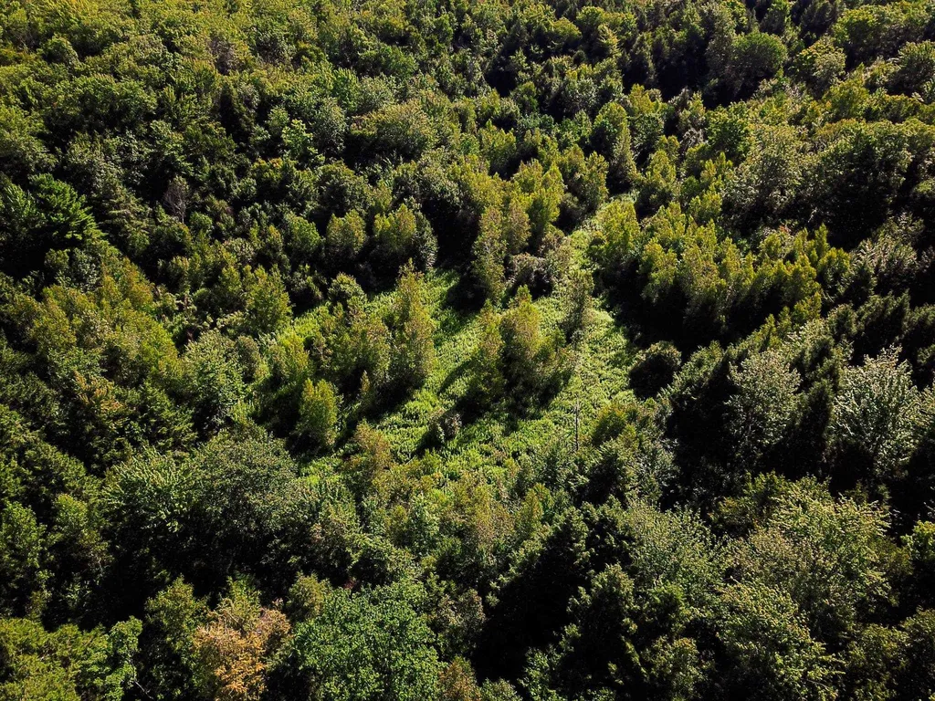 300 Goodrich Hill Road Georgia VT 05478