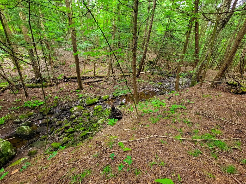 300 Goodrich Hill Road Georgia VT 05478