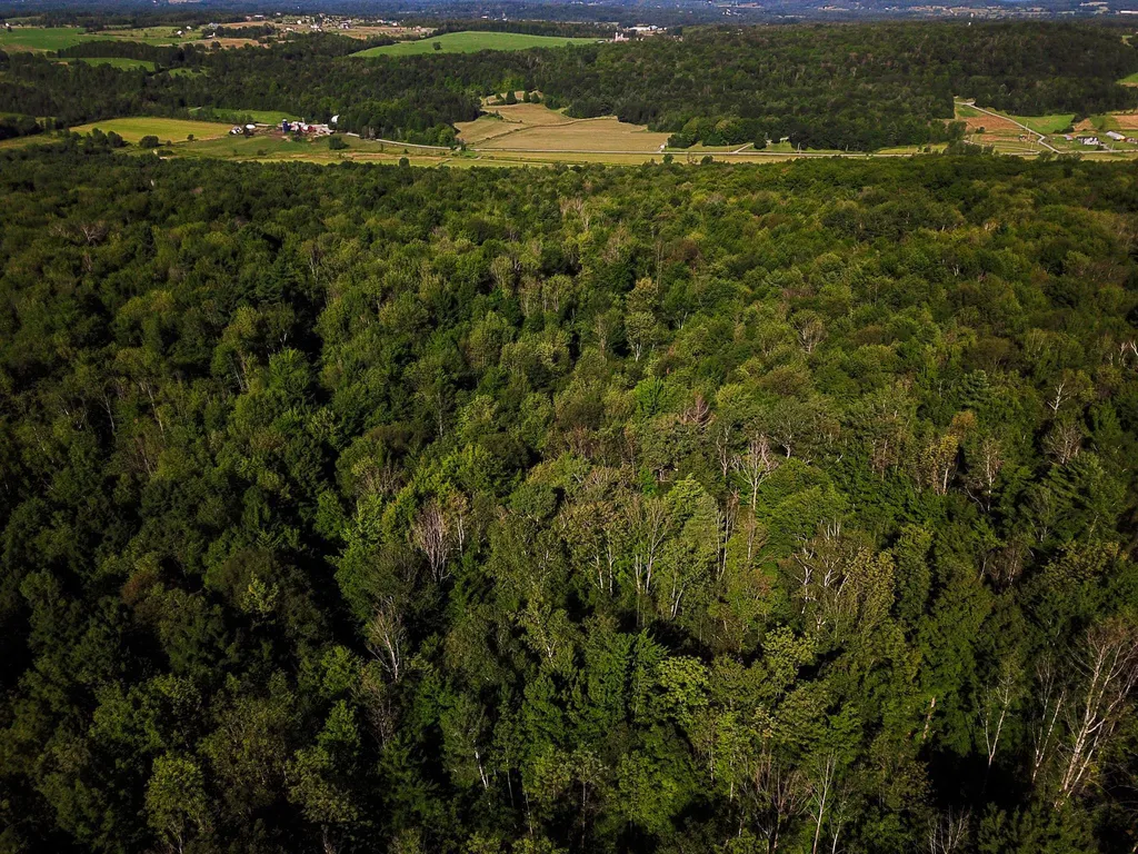 300 Goodrich Hill Road Georgia VT 05478