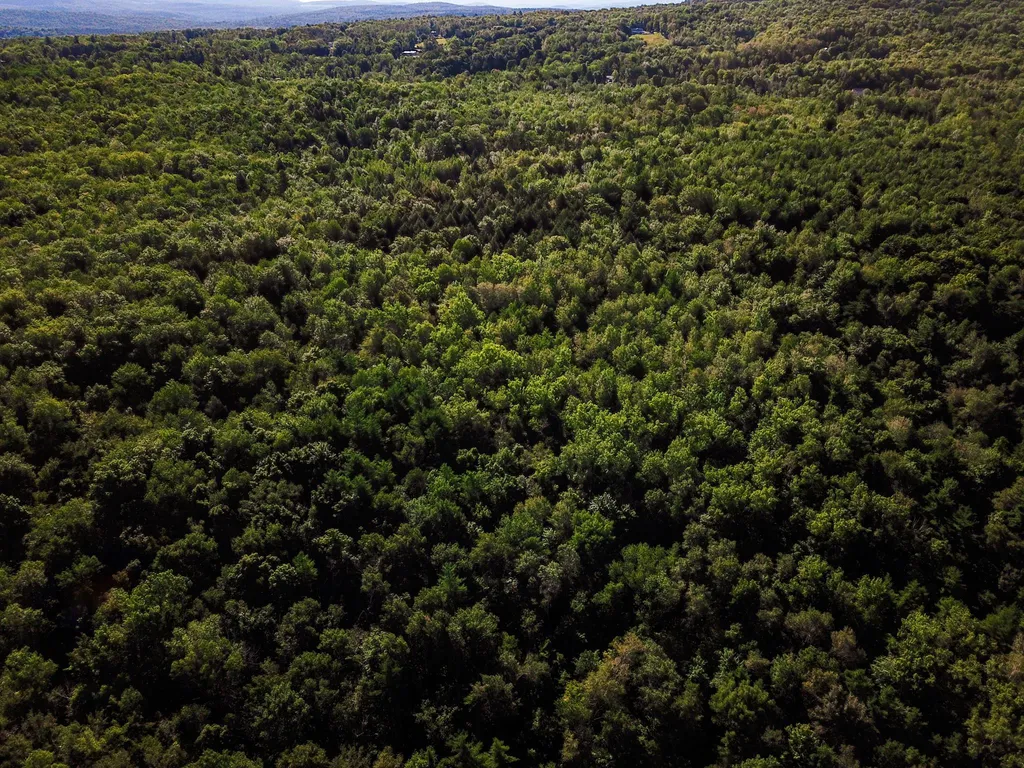 300 Goodrich Hill Road Georgia VT 05478