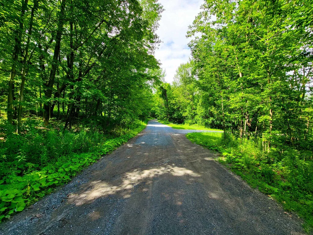 300 Goodrich Hill Road Georgia VT 05478