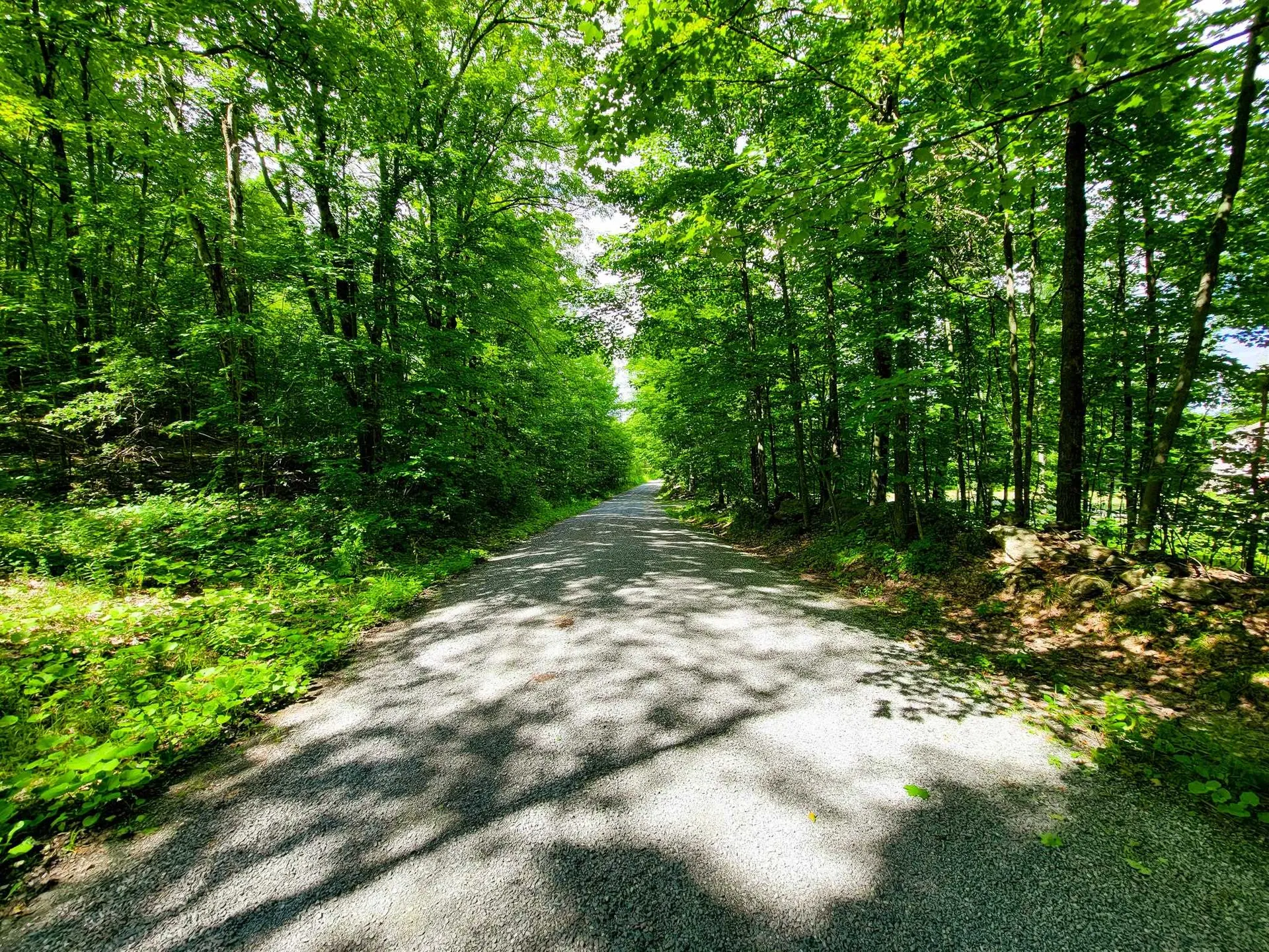 300 Goodrich Hill Road Georgia VT 05478