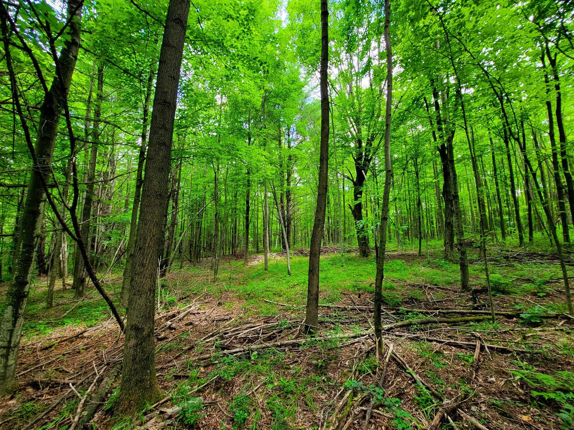 300 Goodrich Hill Road Georgia VT 05478