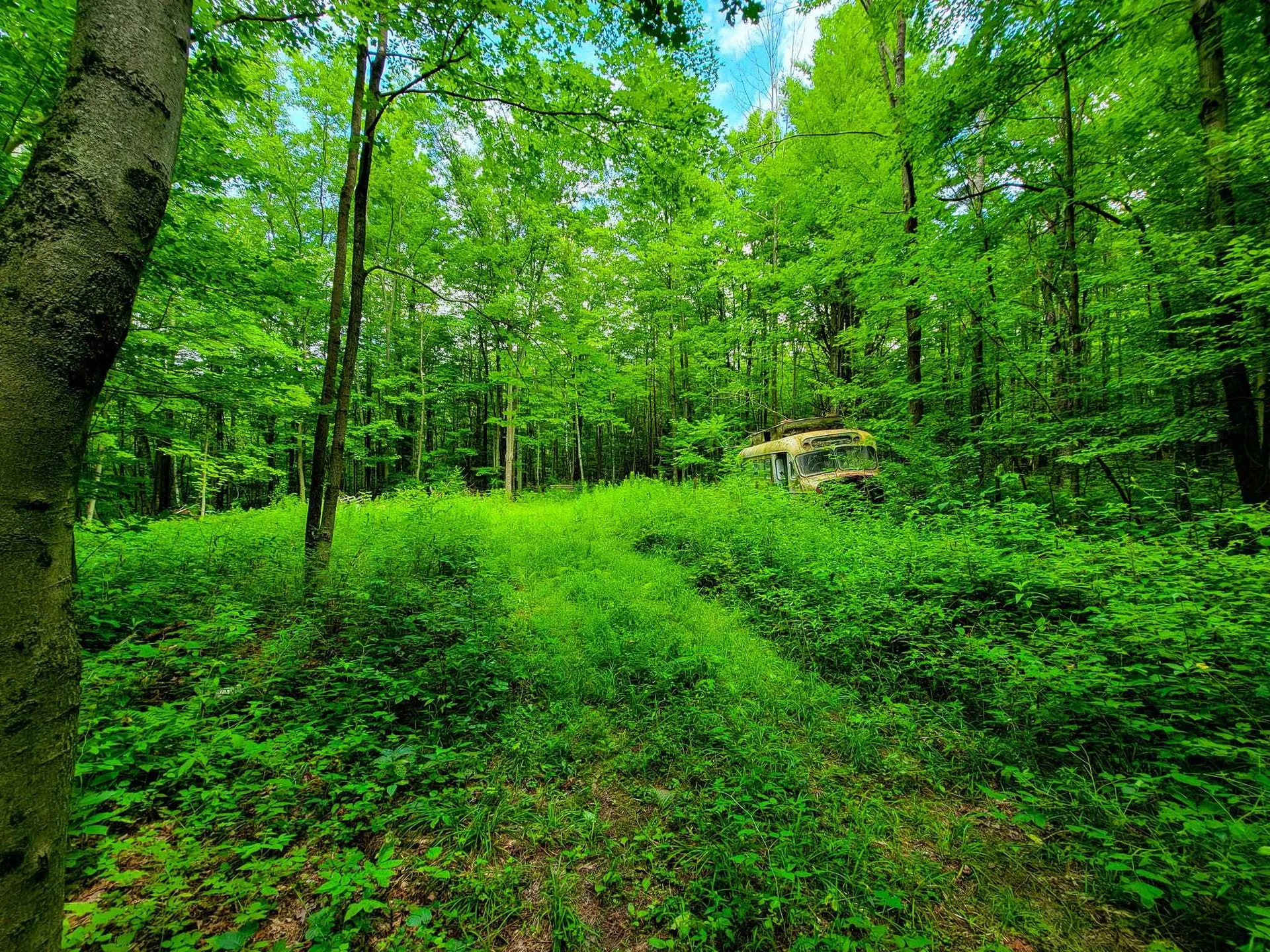 300 Goodrich Hill Road Georgia VT 05478