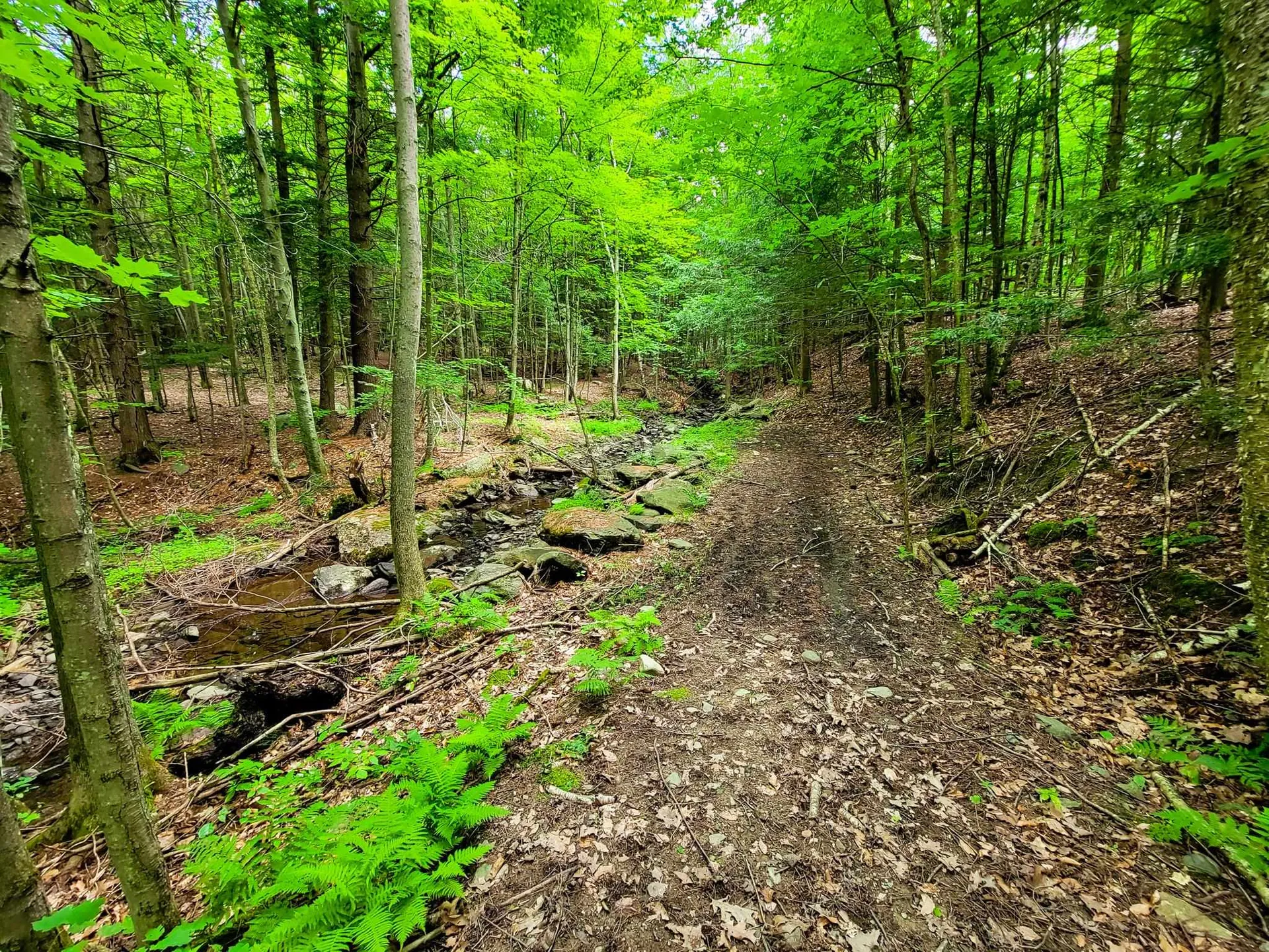 300 Goodrich Hill Road Georgia VT 05478