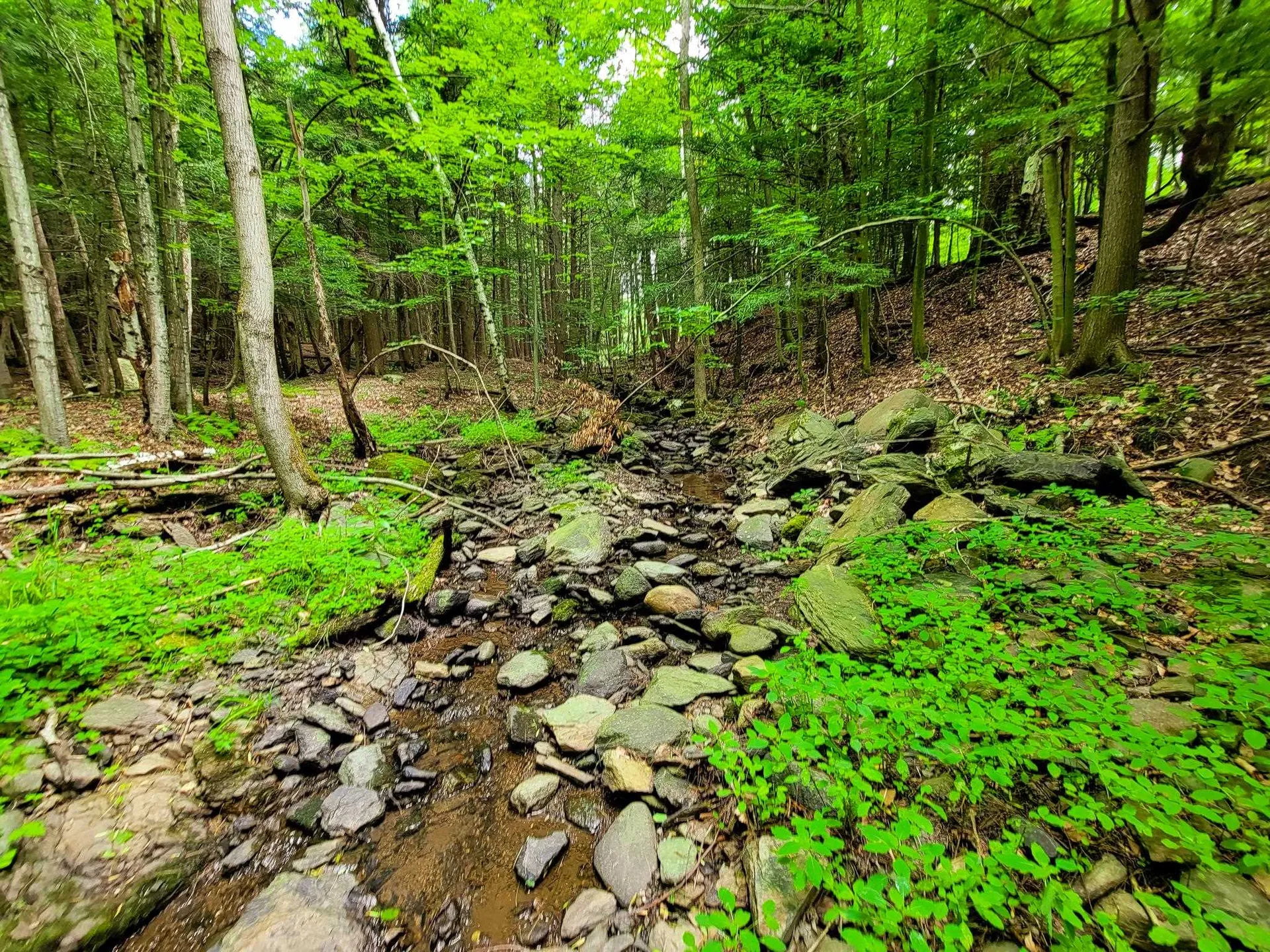 300 Goodrich Hill Road Georgia VT 05478
