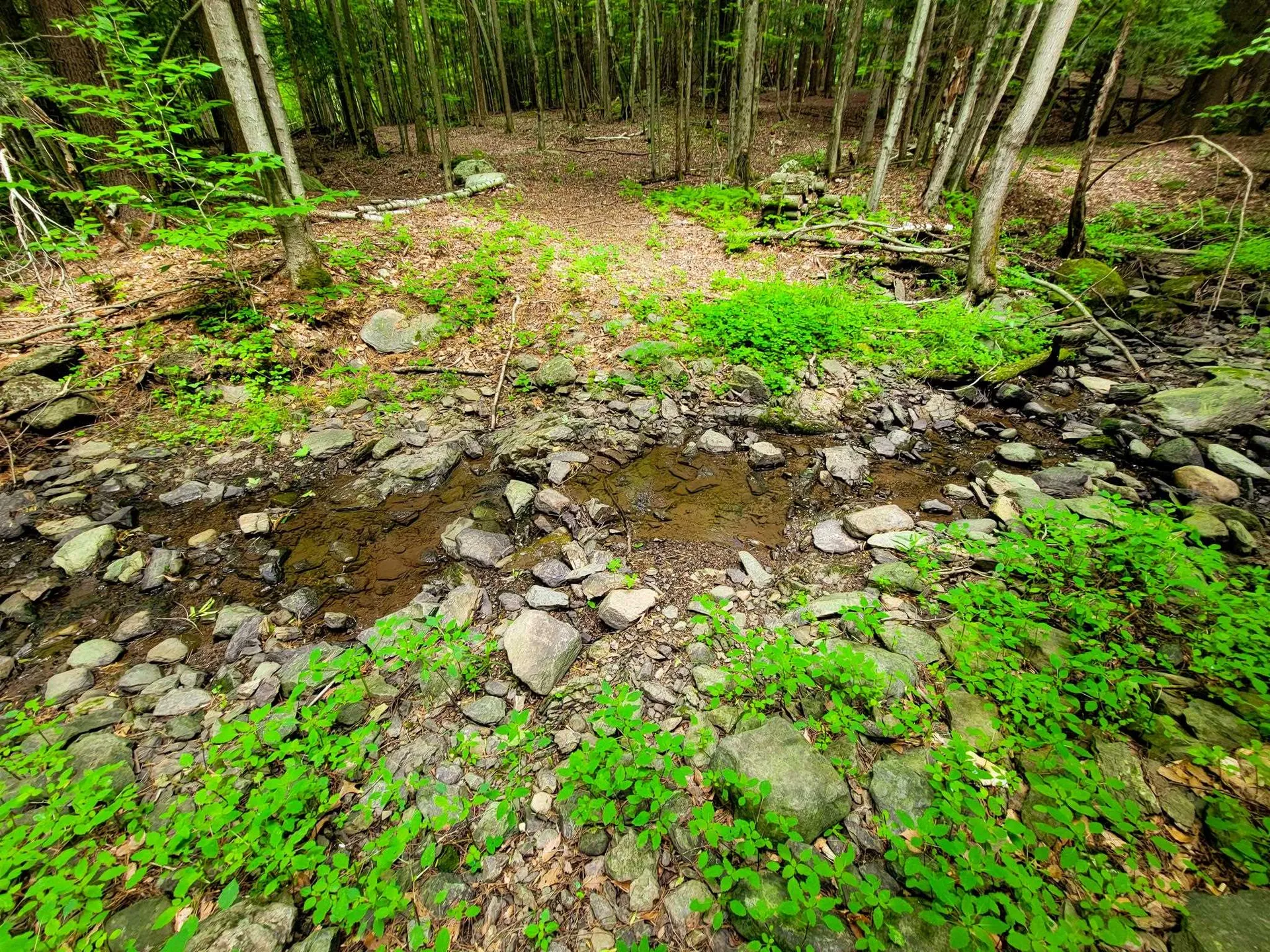 300 Goodrich Hill Road Georgia VT 05478