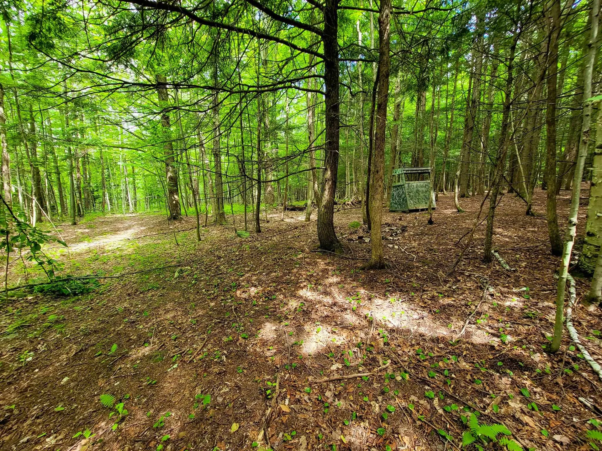 300 Goodrich Hill Road Georgia VT 05478