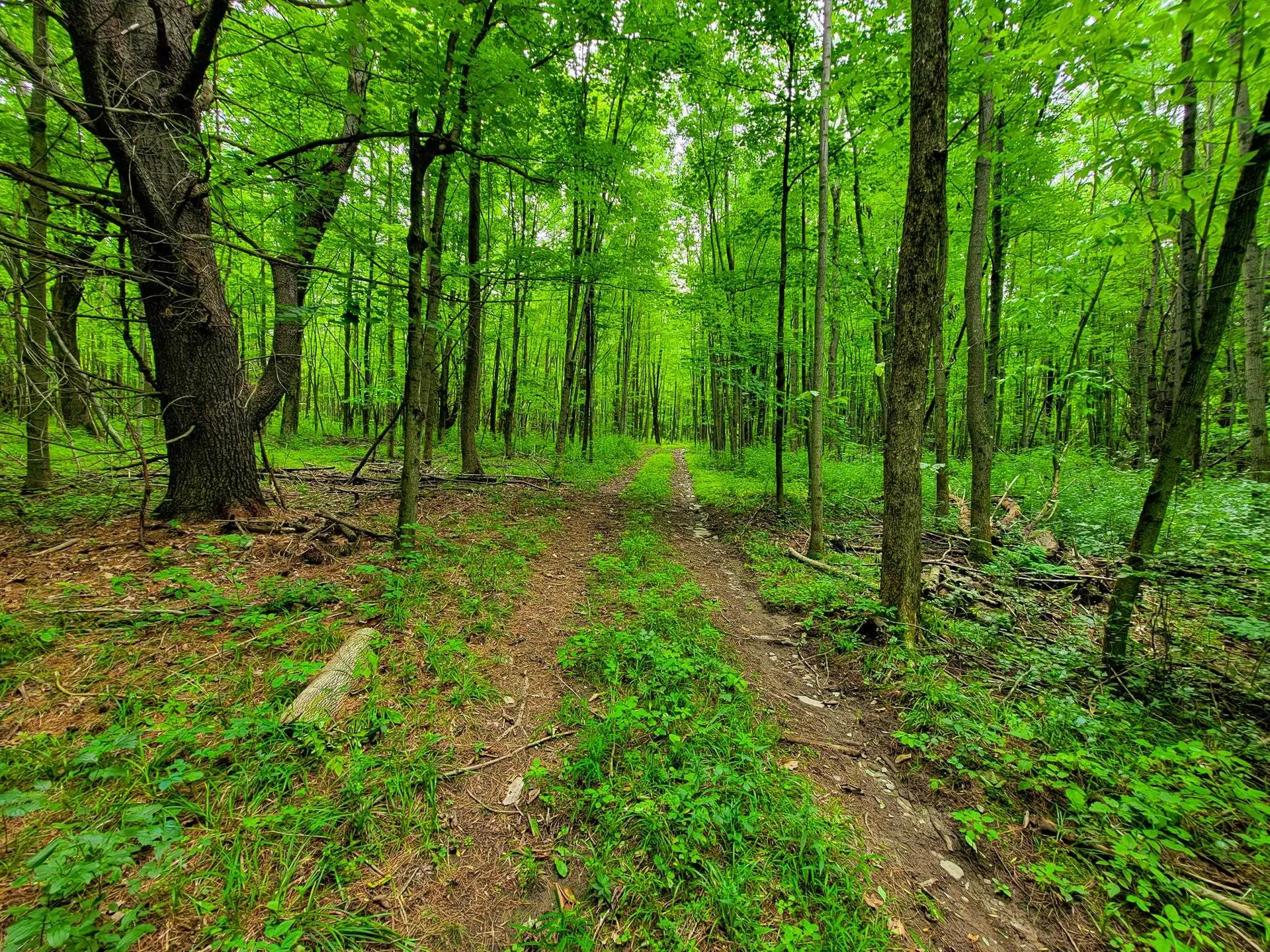 300 Goodrich Hill Road Georgia VT 05478