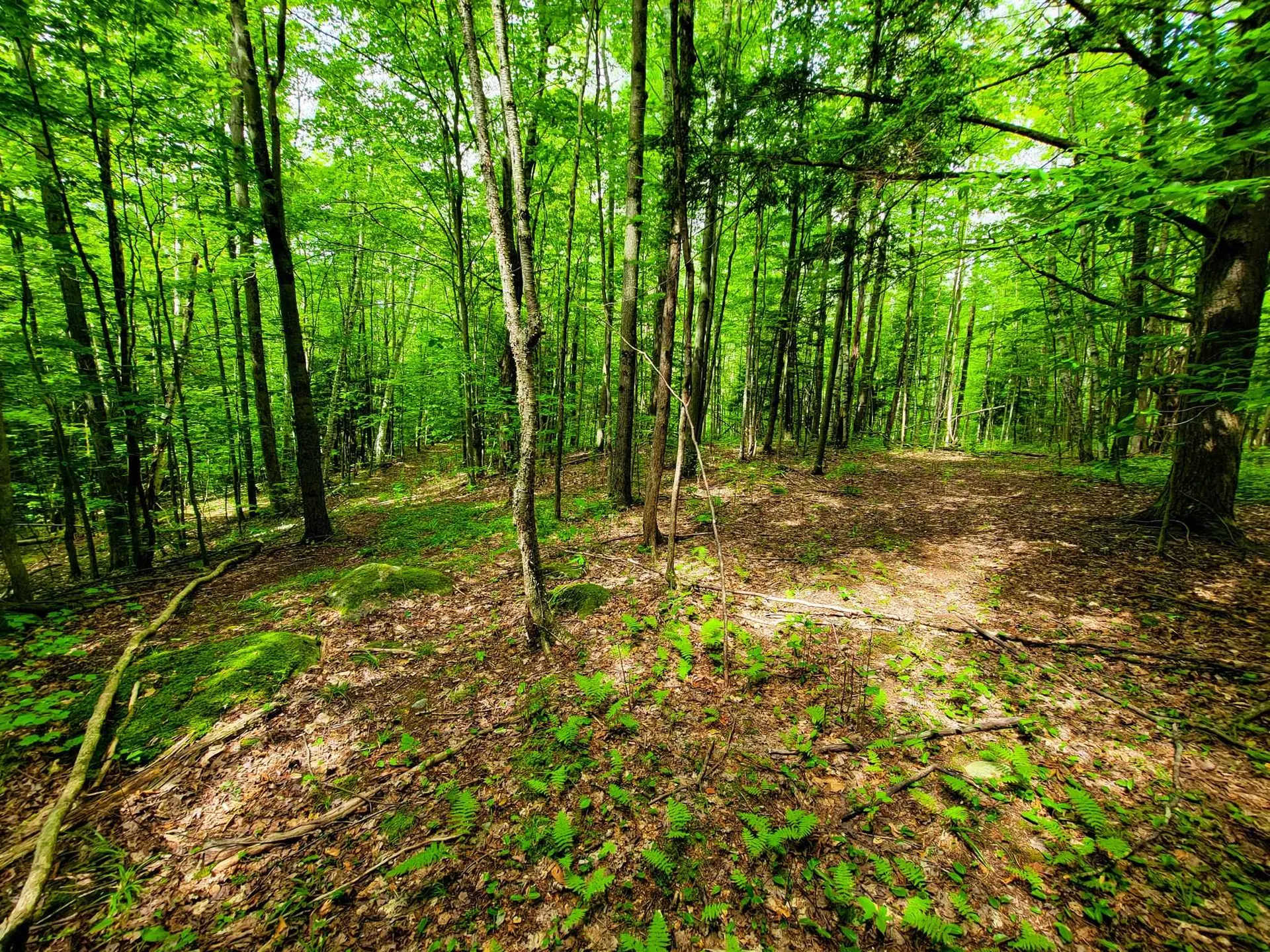 300 Goodrich Hill Road Georgia VT 05478