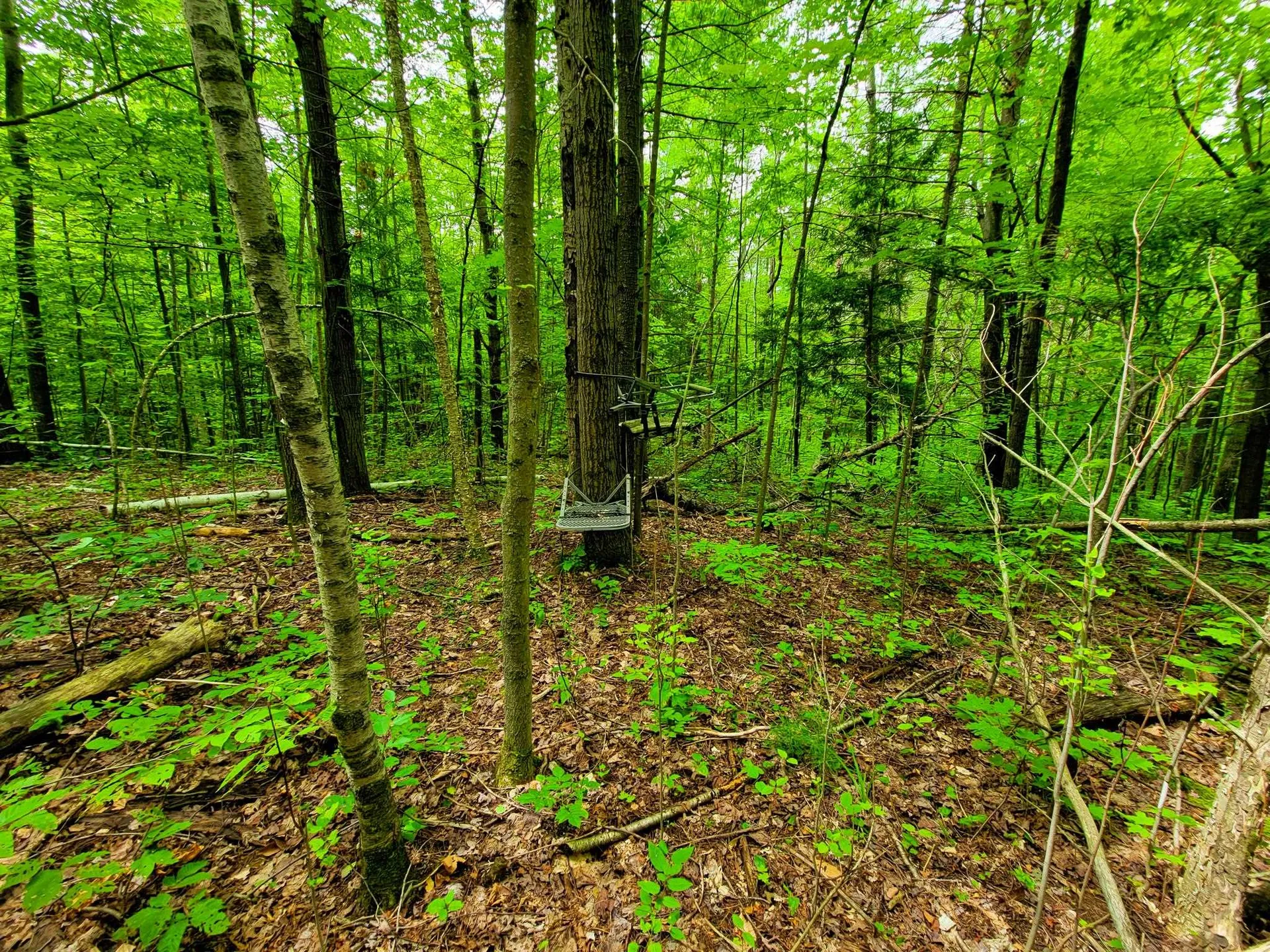 300 Goodrich Hill Road Georgia VT 05478