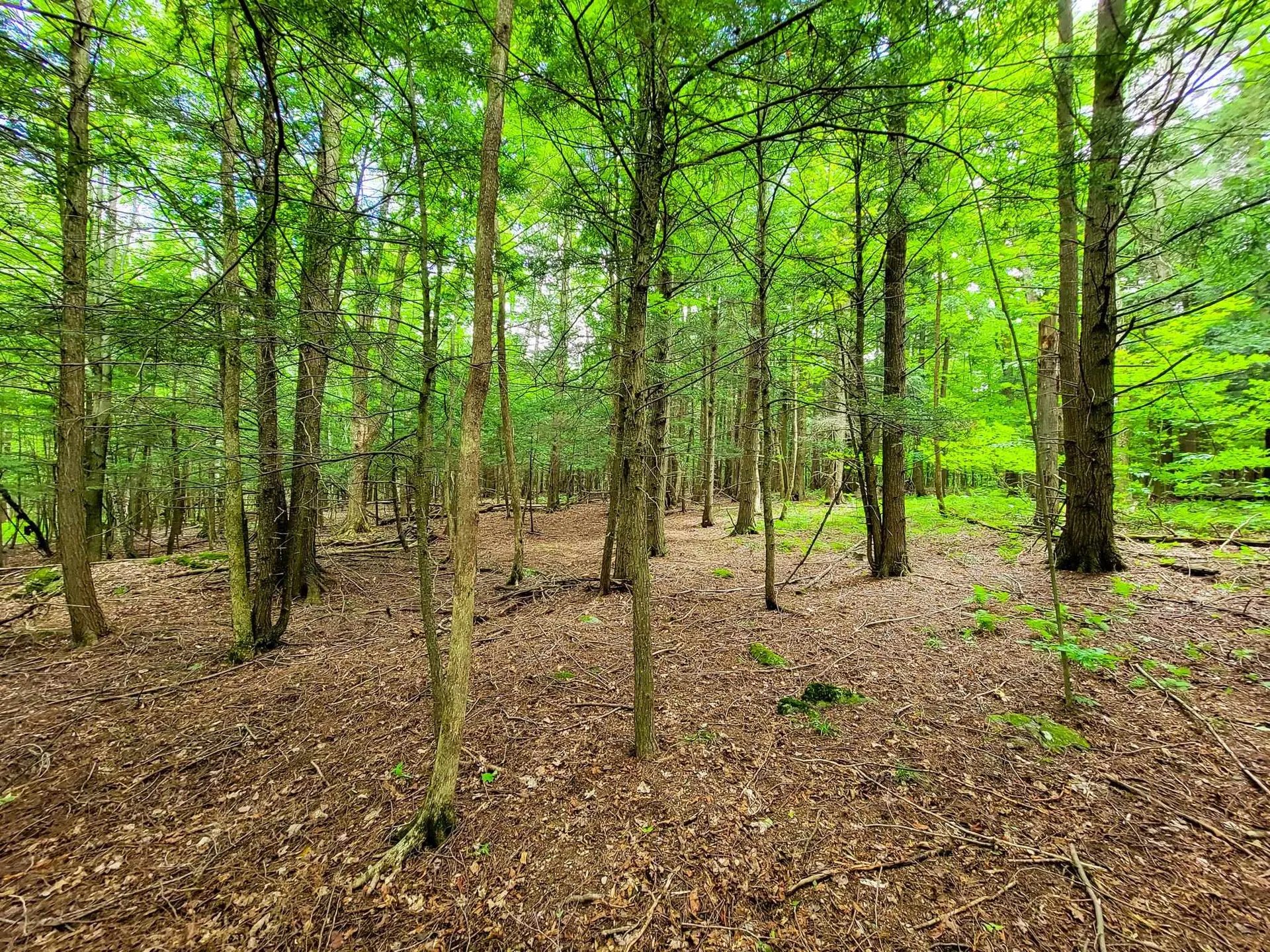 300 Goodrich Hill Road Georgia VT 05478