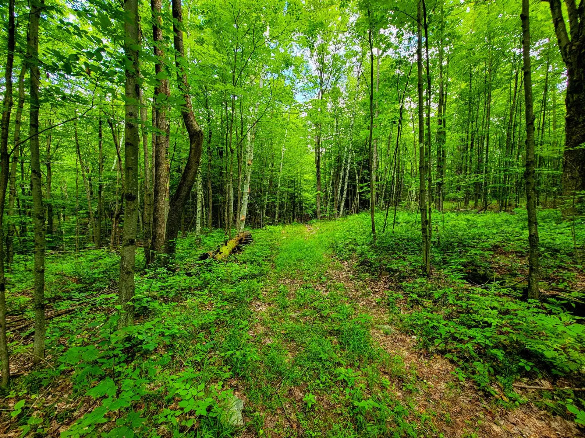 300 Goodrich Hill Road Georgia VT 05478