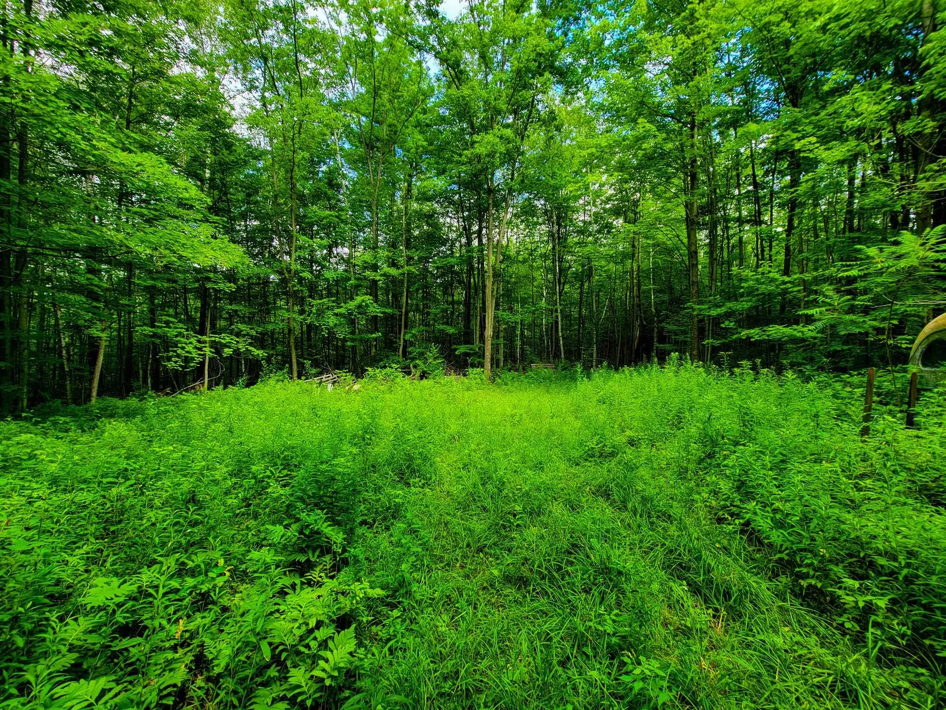 300 Goodrich Hill Road Georgia VT 05478