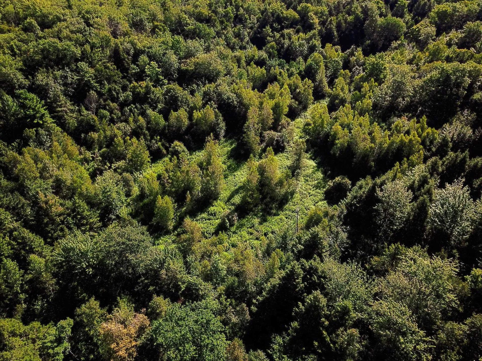 300 Goodrich Hill Road Georgia VT 05478