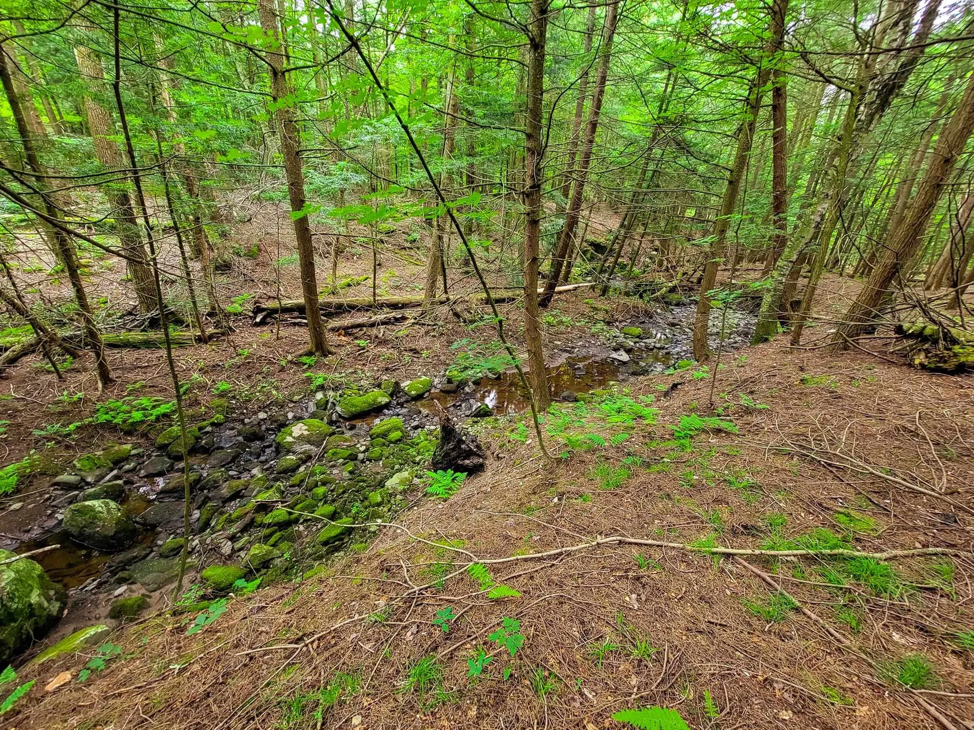 300 Goodrich Hill Road Georgia VT 05478