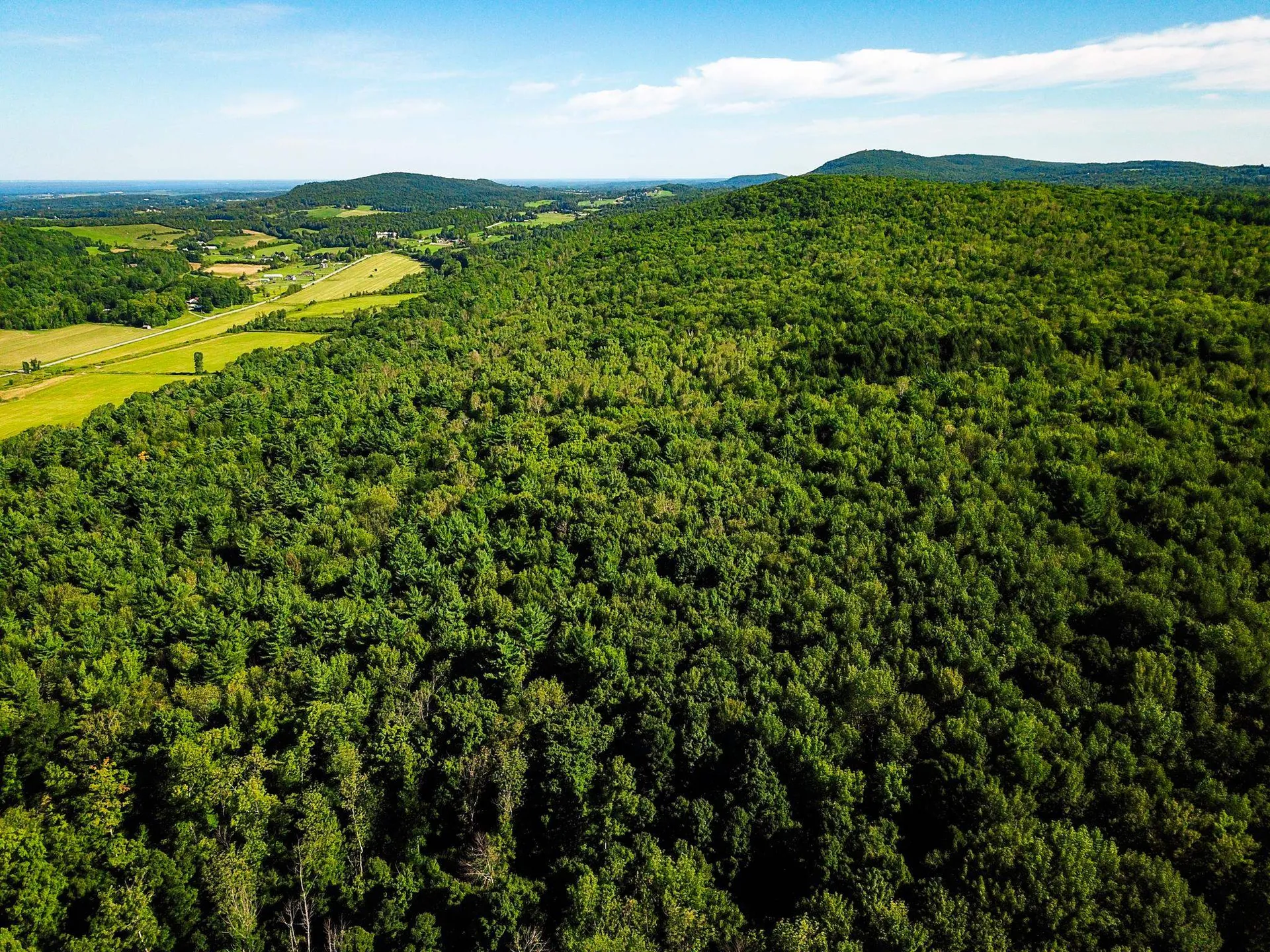 300 Goodrich Hill Road Georgia VT 05478