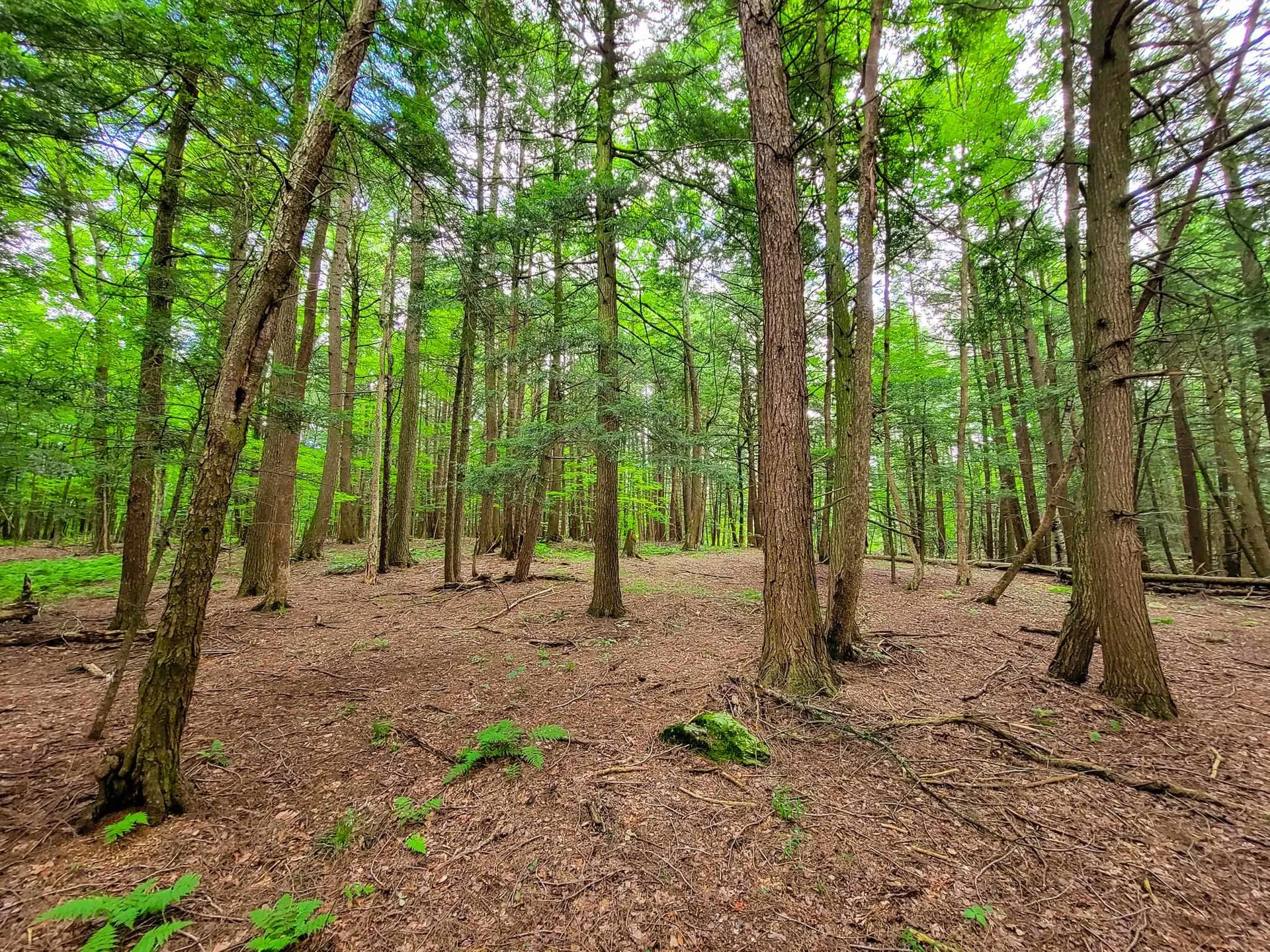 300 Goodrich Hill Road Georgia VT 05478