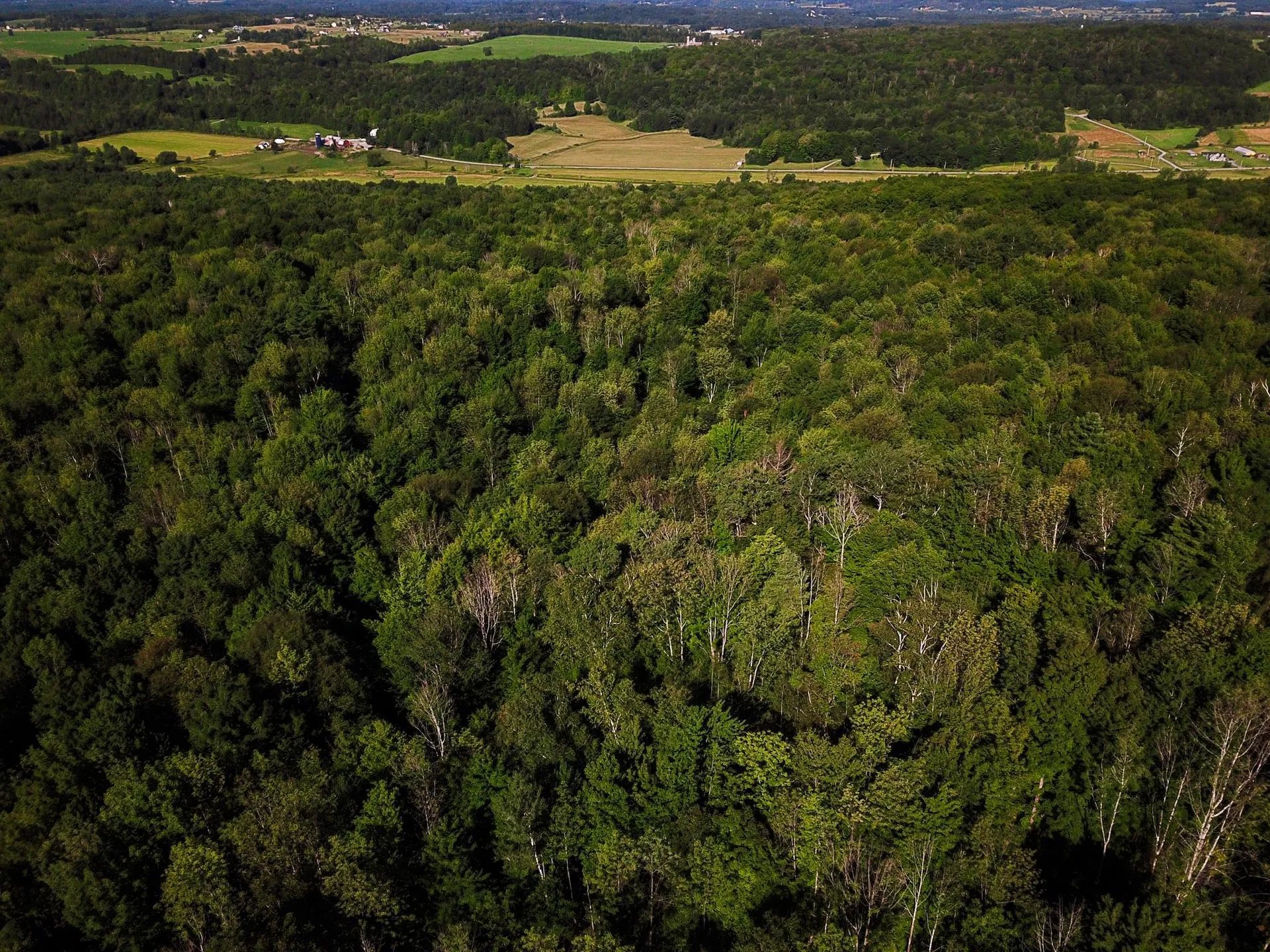 300 Goodrich Hill Road Georgia VT 05478