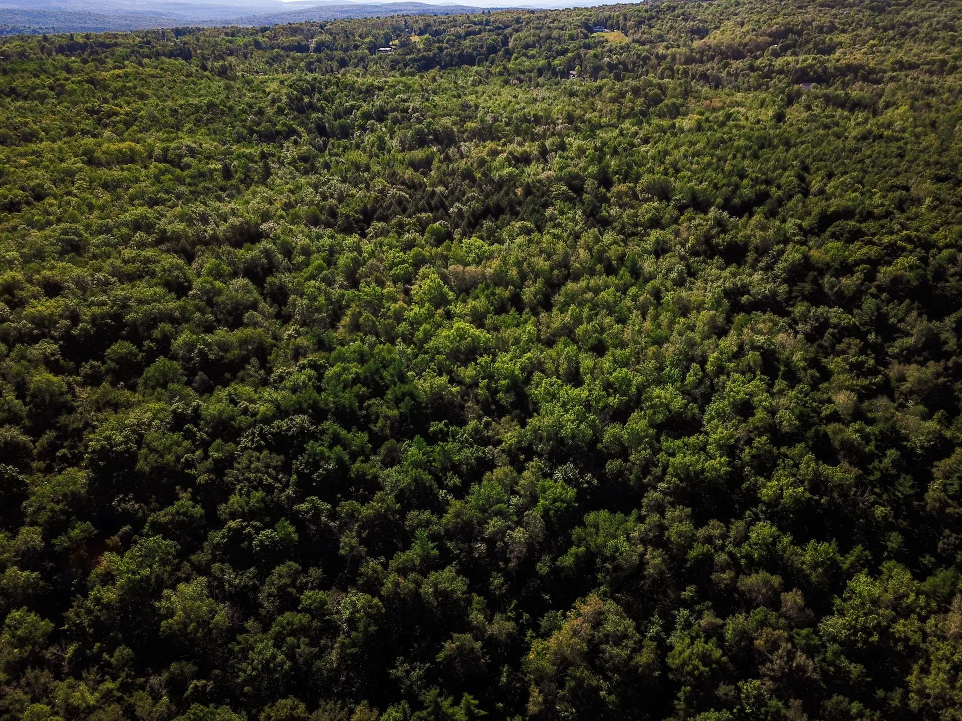 300 Goodrich Hill Road Georgia VT 05478