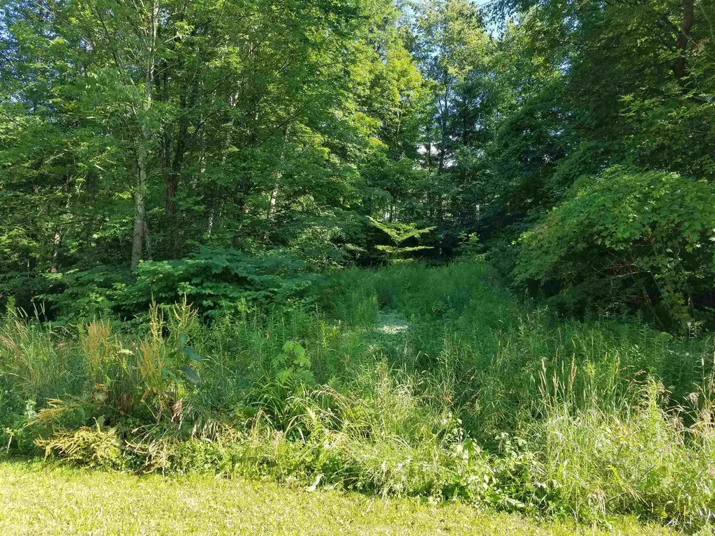0 Furnace Road Brandon VT 05733