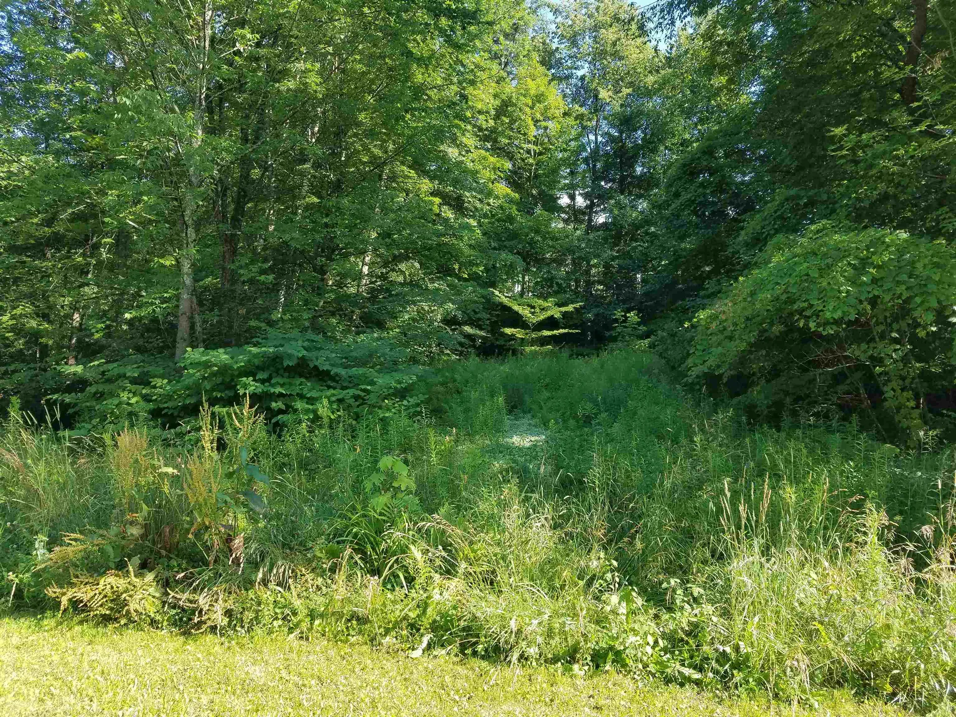 0 Furnace Road Brandon VT 05733