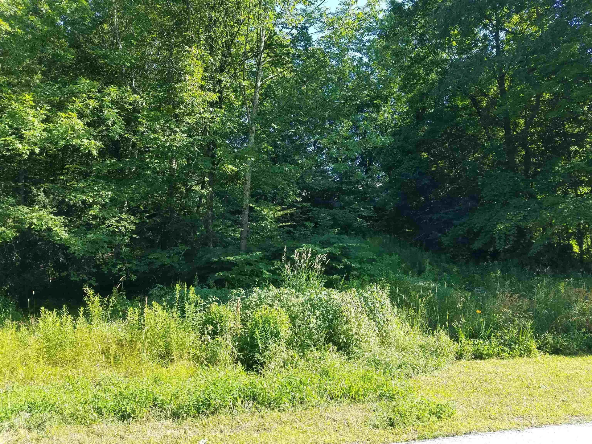 0 Furnace Road Brandon VT 05733