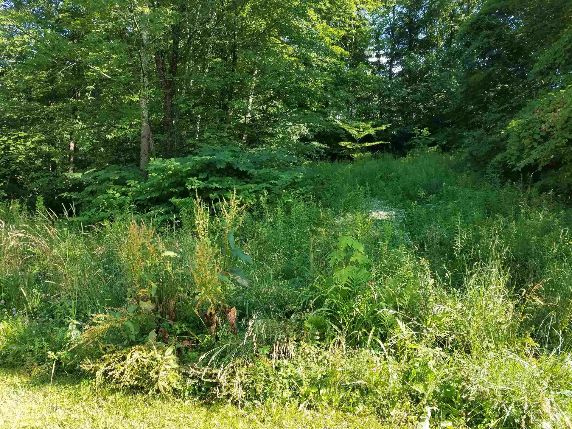0 Furnace Road Brandon VT 05733