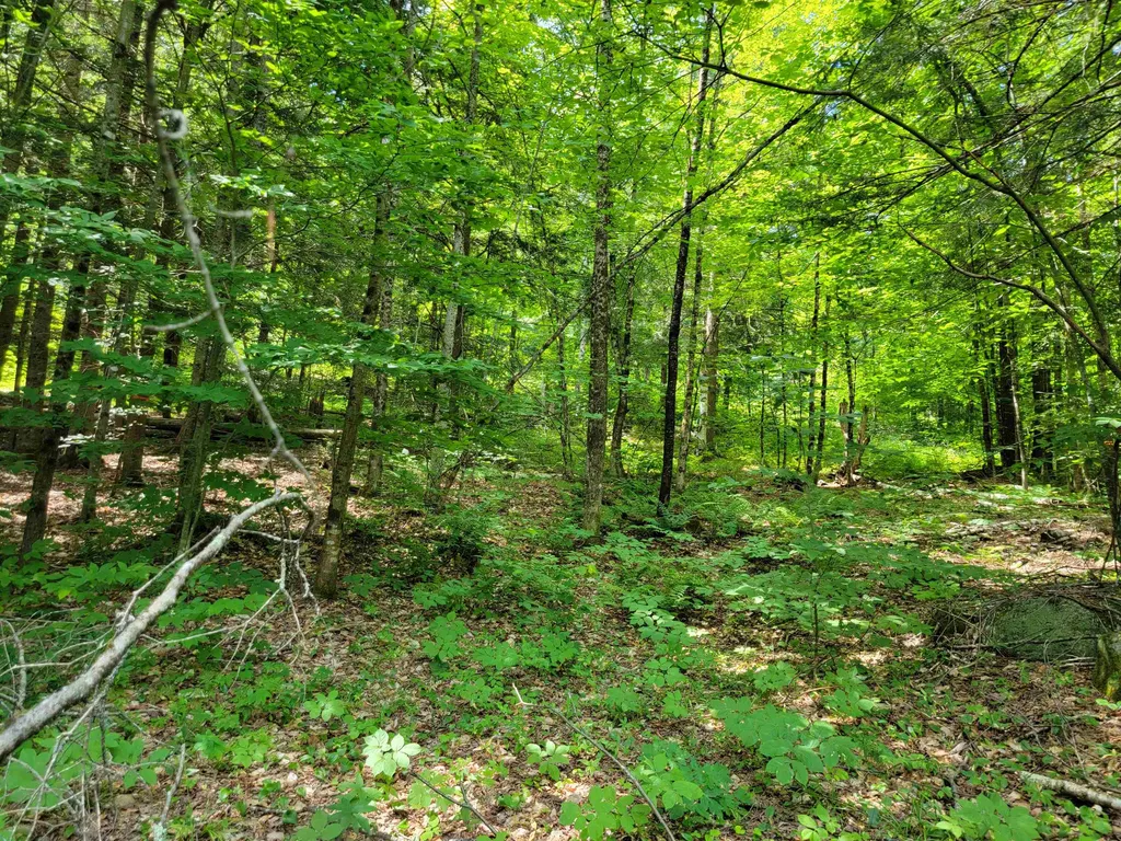 0 Old County Road Topsham VT 05076