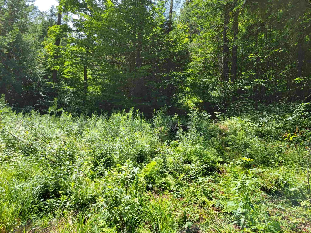 0 Old County Road Topsham VT 05076
