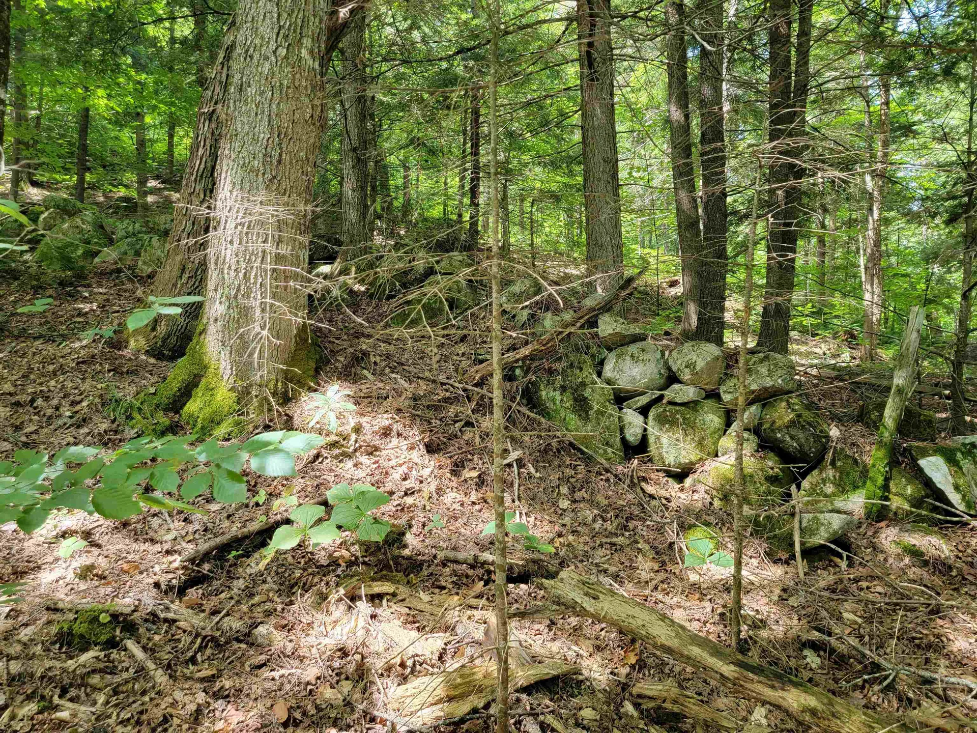 0 Old County Road Topsham VT 05076