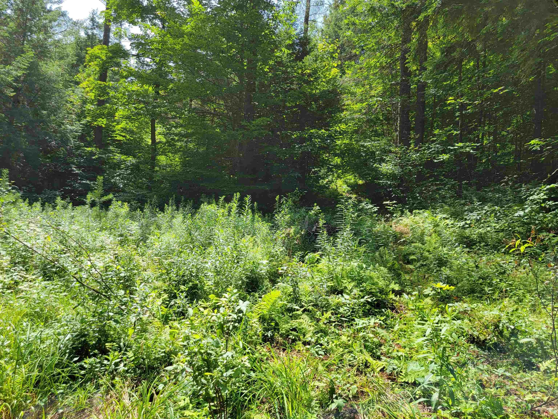 0 Old County Road Topsham VT 05076